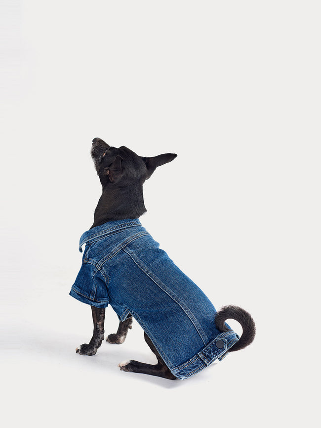 Fido Canine Trucker | Puppy Breath