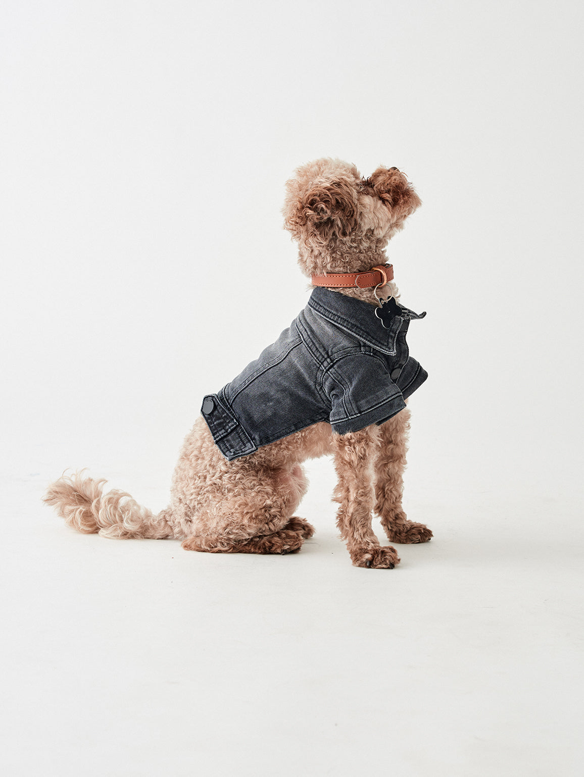 Fido Canine Trucker XS / S | Bad to the Bone