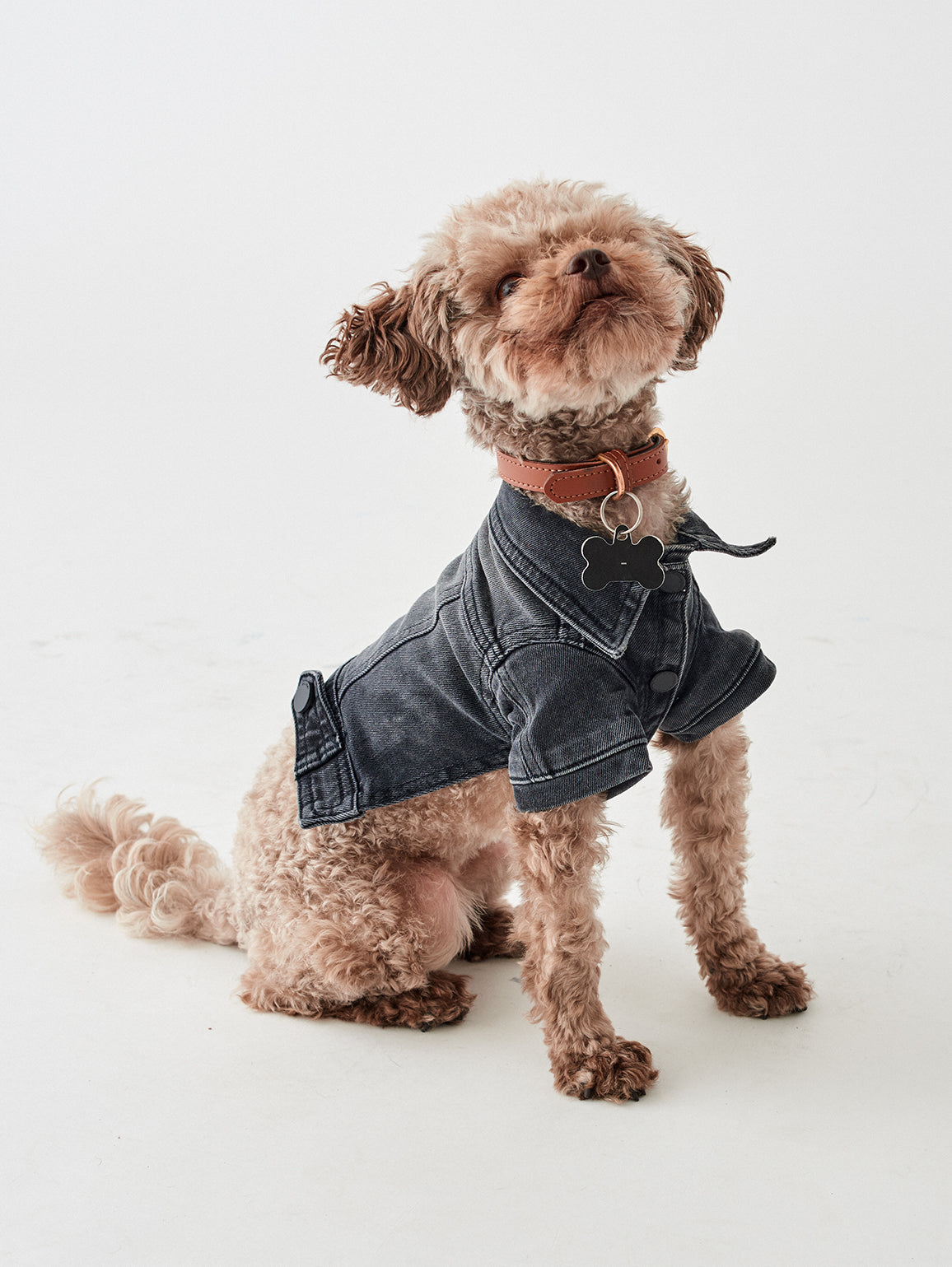 Fido Canine Trucker XS / S | Bad to the Bone