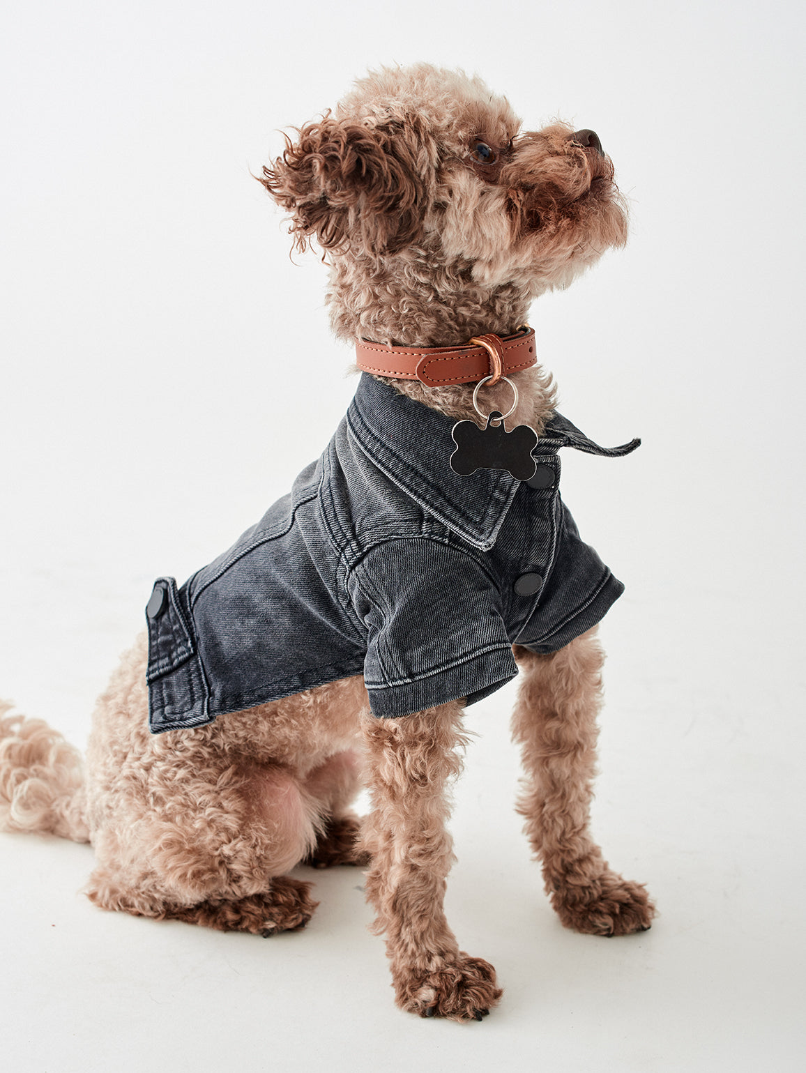 Fido Canine Trucker XS / S | Bad to the Bone