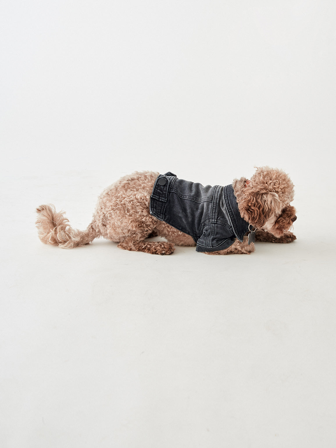 Fido Canine Trucker XS / S | Bad to the Bone