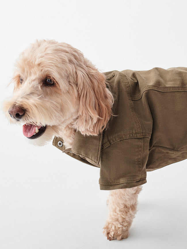 Fido Canine Trucker | Woof