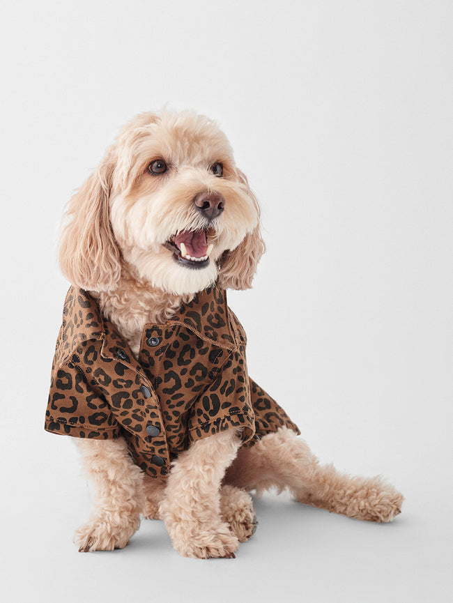 Fido Canine Trucker | Cat-Dog