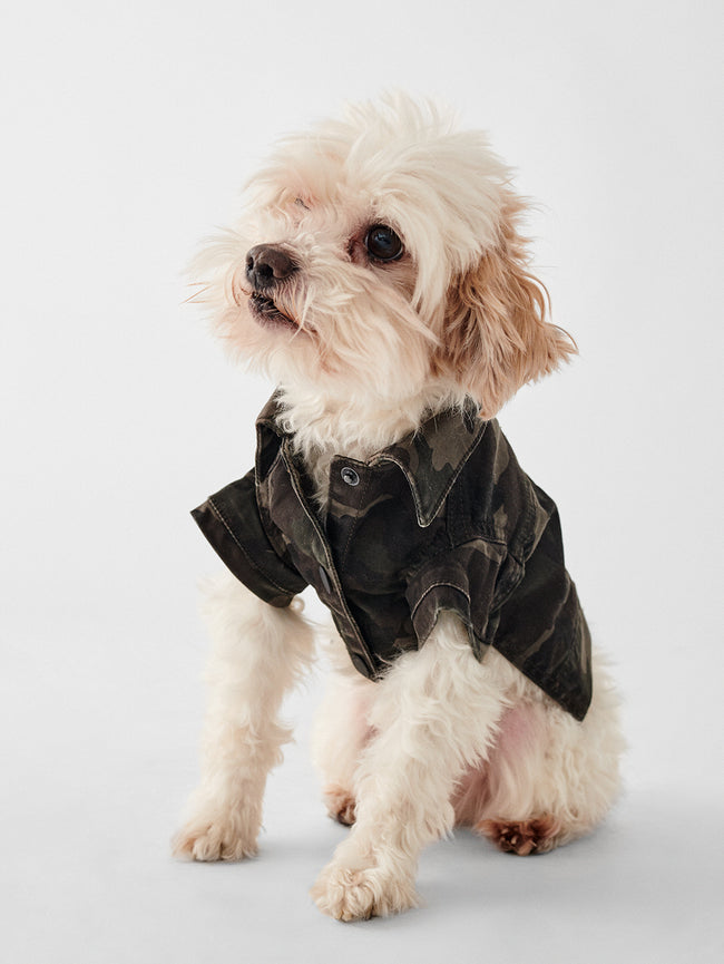 Fido Canine Trucker | Vendetta